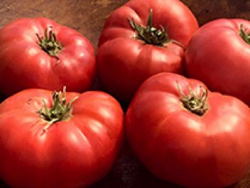 julia child heirloom tomato